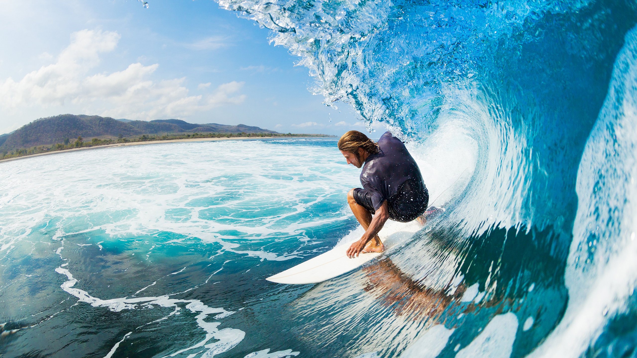 哈斯克女子100米自由泳决赛亮点纷呈，哈斯克 游泳