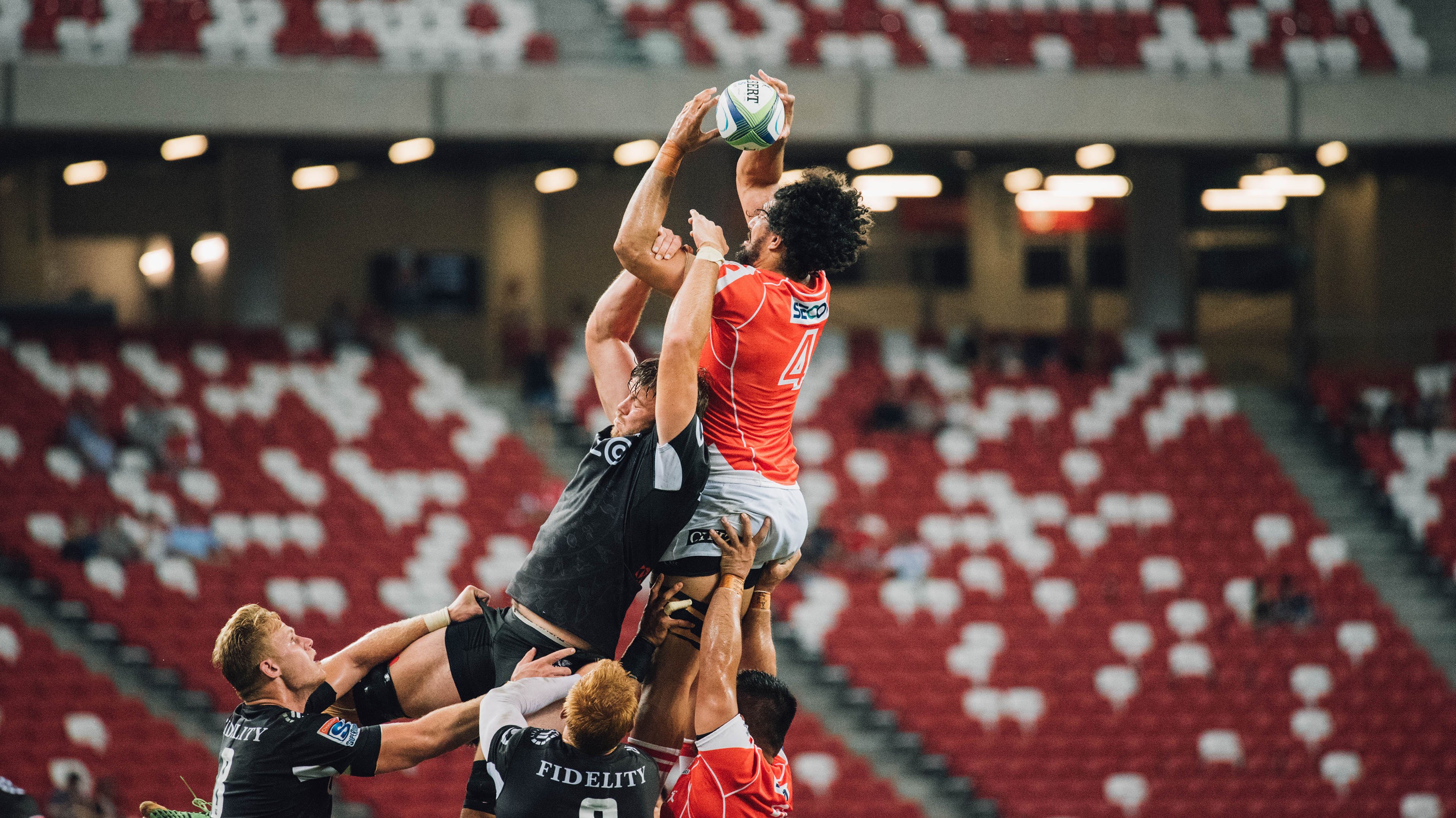 南非羚羊队的反击战术：他们每次进攻都打得精准而犀利，南非大羚羊主要分布哪里