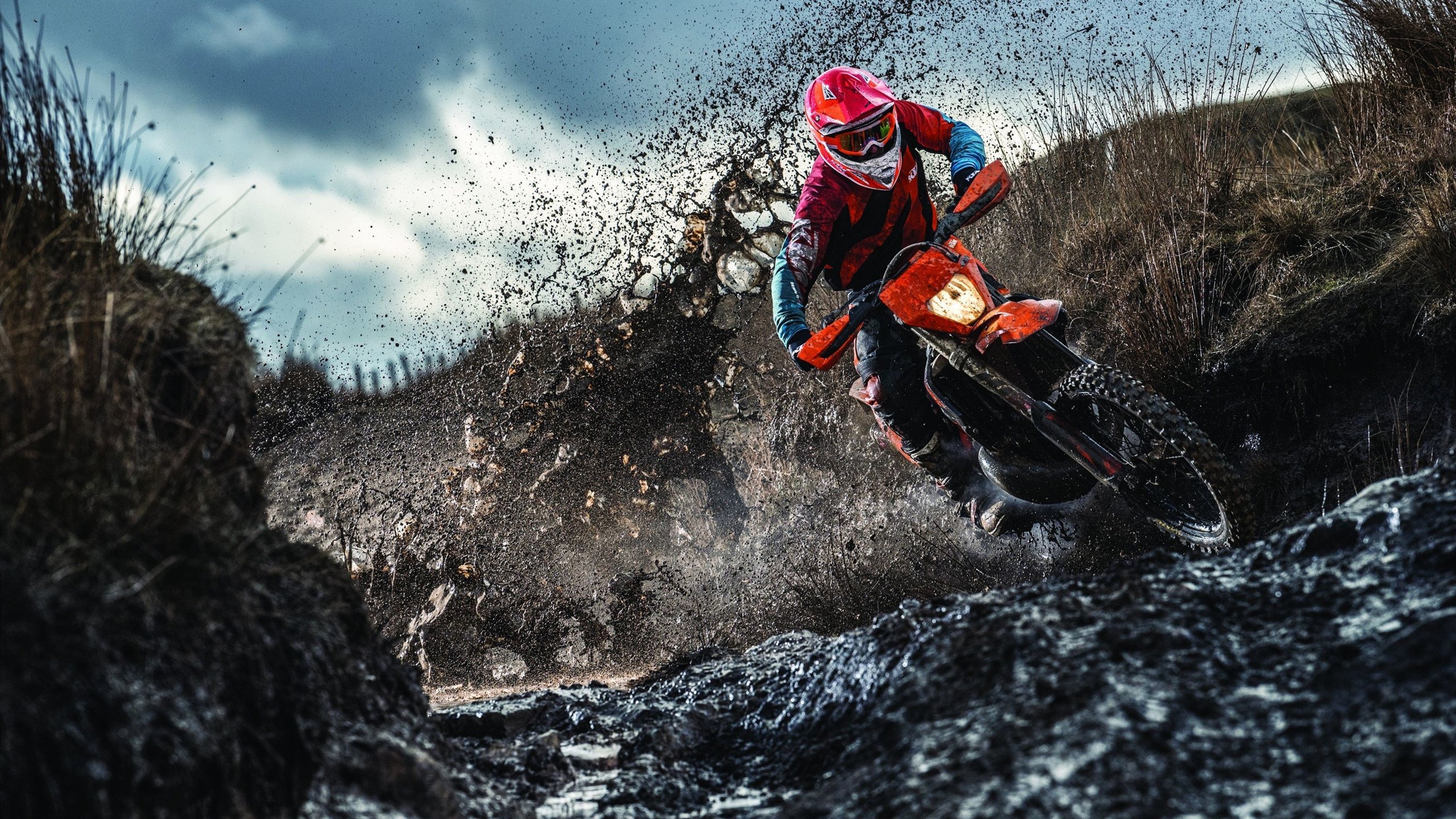 电竞主播内容搬运问题是否应严惩，做电竞主播